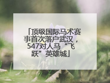 顶级国际马术赛事首次落户武汉，547对人马“飞跃”英雄城