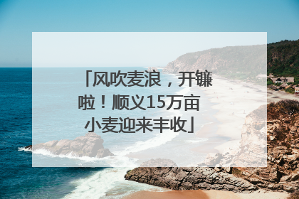 风吹麦浪，开镰啦！顺义15万亩小麦迎来丰收