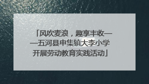 风吹麦浪，趣享丰收——五河县申集镇大李小学开展劳动教育实践活动