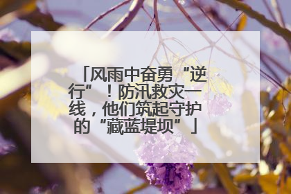 风雨中奋勇“逆行”！防汛救灾一线，他们筑起守护的“藏蓝堤坝”