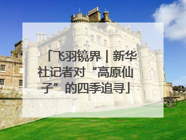 飞羽镜界｜新华社记者对“高原仙子”的四季追寻