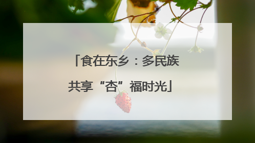 食在东乡：多民族共享“杏”福时光