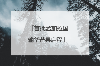 首批孟加拉国输华芒果启程