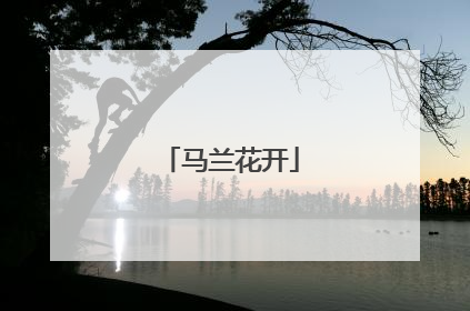 马兰花开
