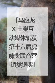 马应龙 X 丰巢互动媒体斩获第十六届虎啸奖联合营销类铜奖