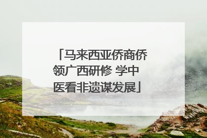 马来西亚侨商侨领广西研修 学中医看非遗谋发展