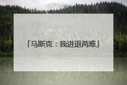 马斯克：我进退两难