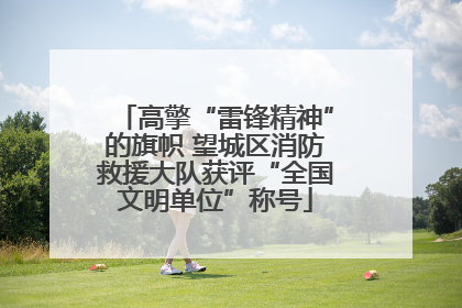高擎“雷锋精神”的旗帜 望城区消防救援大队获评“全国文明单位”称号