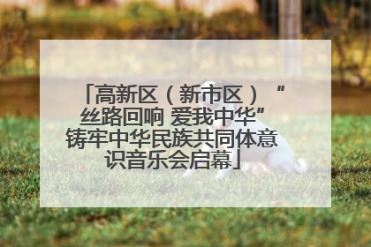 高新区（新市区）“丝路回响 爱我中华”铸牢中华民族共同体意识音乐会启幕