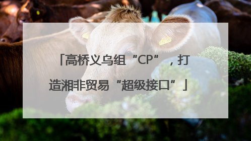 高桥义乌组“CP”，打造湘非贸易“超级接口”