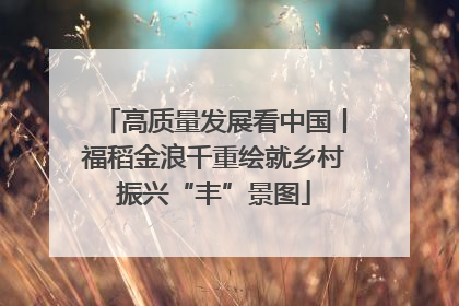 高质量发展看中国丨福稻金浪千重绘就乡村振兴“丰”景图