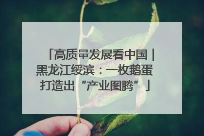 高质量发展看中国｜黑龙江绥滨：一枚鹅蛋打造出“产业图腾”
