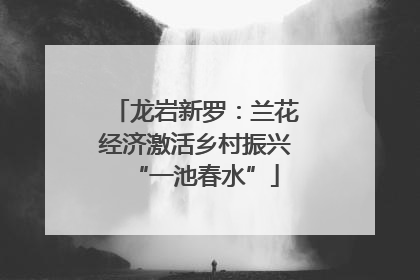龙岩新罗：兰花经济激活乡村振兴“一池春水”
