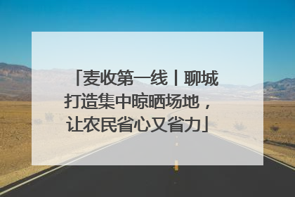 麦收第一线丨聊城打造集中晾晒场地，让农民省心又省力