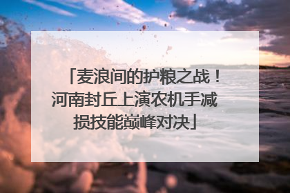 麦浪间的护粮之战！河南封丘上演农机手减损技能巅峰对决