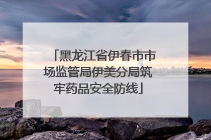 黑龙江省伊春市市场监管局伊美分局筑牢药品安全防线