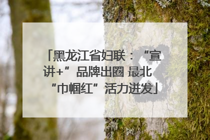黑龙江省妇联：“宣讲+”品牌出圈 最北“巾帼红”活力迸发