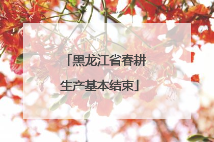 黑龙江省春耕生产基本结束
