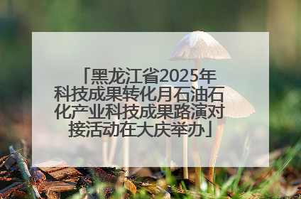 黑龙江省2025年科技成果转化月石油石化产业科技成果路演对接活动在大庆举办