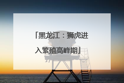 黑龙江：狮虎进入繁殖高峰期