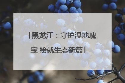 黑龙江：守护湿地瑰宝 绘就生态新篇