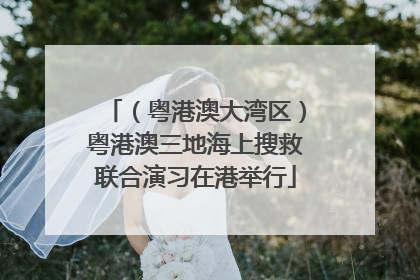 （粤港澳大湾区）粤港澳三地海上搜救联合演习在港举行