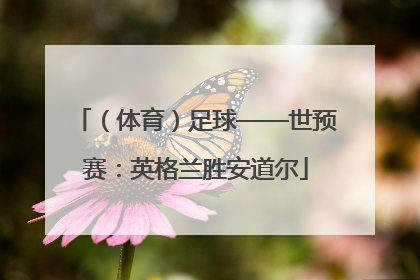（体育）足球——世预赛：英格兰胜安道尔