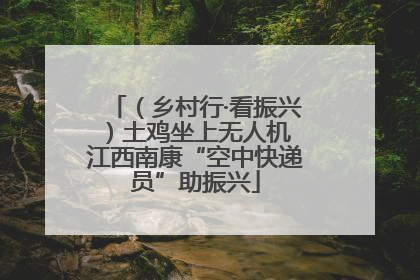 （乡村行·看振兴）土鸡坐上无人机 江西南康“空中快递员”助振兴