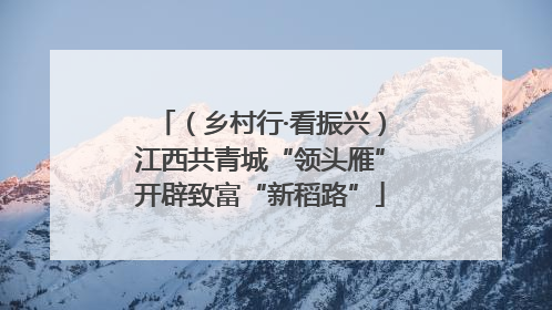 （乡村行·看振兴）江西共青城“领头雁”开辟致富“新稻路”