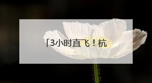 3小时直飞！杭州空港口岸恢复直飞日本冲绳航线