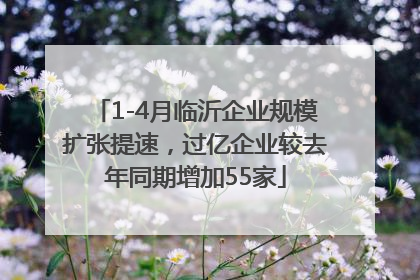 1-4月临沂企业规模扩张提速，过亿企业较去年同期增加55家