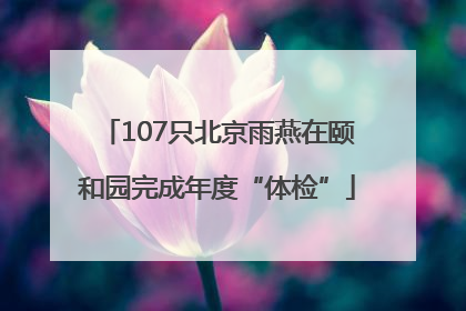 107只北京雨燕在颐和园完成年度“体检”