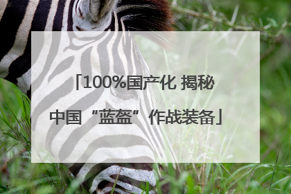 100%国产化 揭秘中国“蓝盔”作战装备