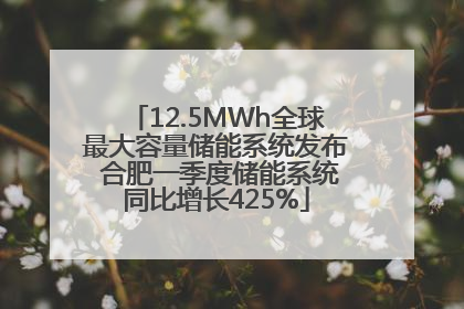 12.5MWh全球最大容量储能系统发布 合肥一季度储能系统同比增长425%