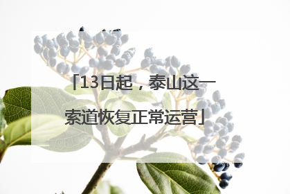 13日起，泰山这一索道恢复正常运营