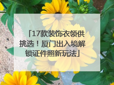 17款装饰衣领供挑选！厦门出入境解锁证件照新玩法