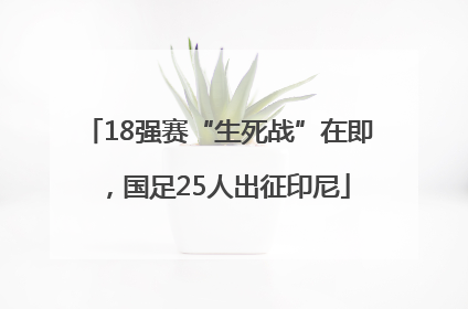 18强赛“生死战”在即，国足25人出征印尼