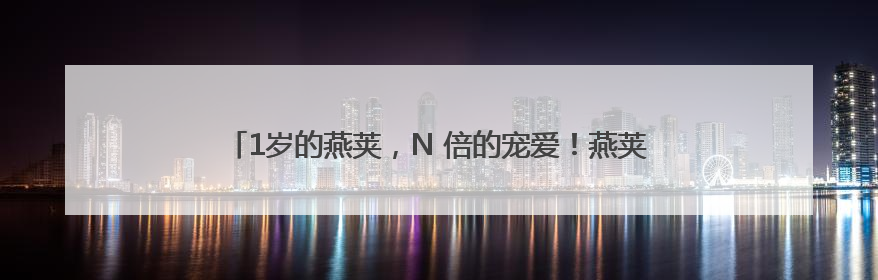 1岁的燕荚，N 倍的宠爱！燕荚周年“荚”年华狂欢攻略大公开