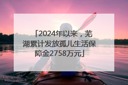 2024年以来，芜湖累计发放孤儿生活保障金2758万元