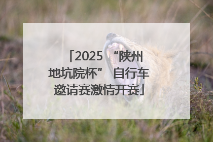 2025 “陕州地坑院杯” 自行车邀请赛激情开赛