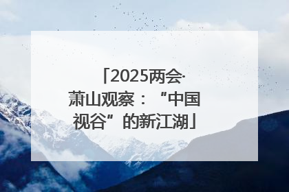 2025两会·萧山观察：“中国视谷”的新江湖