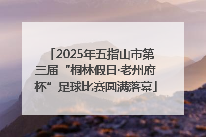 2025年五指山市第三届“桐林假日·老州府杯”足球比赛圆满落幕