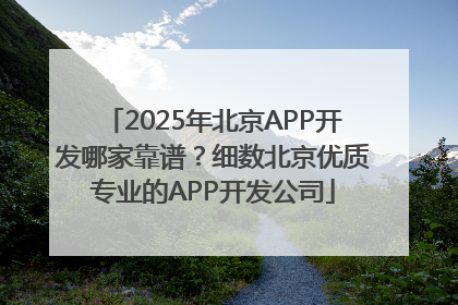 2025年北京APP开发哪家靠谱？细数北京优质专业的APP开发公司