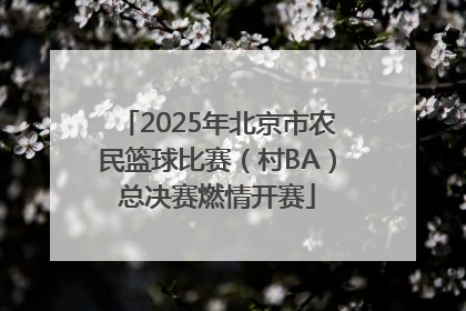 2025年北京市农民篮球比赛（村BA）总决赛燃情开赛