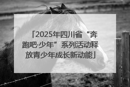 2025年四川省“奔跑吧·少年”系列活动释放青少年成长新动能