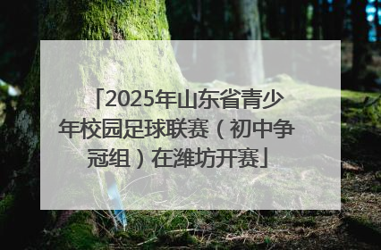 2025年山东省青少年校园足球联赛（初中争冠组）在潍坊开赛