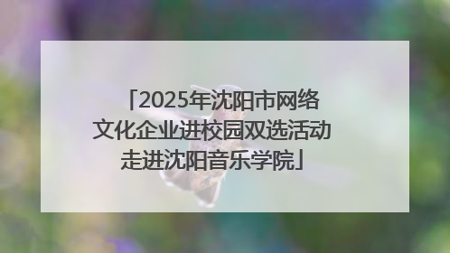 2025年沈阳市网络文化企业进校园双选活动走进沈阳音乐学院