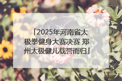2025年河南省太极拳健身大赛决赛 郑州太极健儿载誉而归