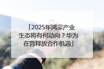 2025年鸿蒙产业生态将有何动向？华为在蓉释放合作机遇