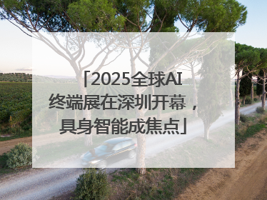 2025全球AI终端展在深圳开幕，具身智能成焦点
